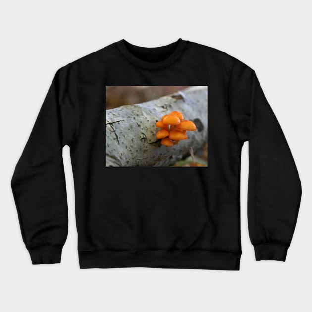 Orange Fungus Crewneck Sweatshirt by EileenMcVey